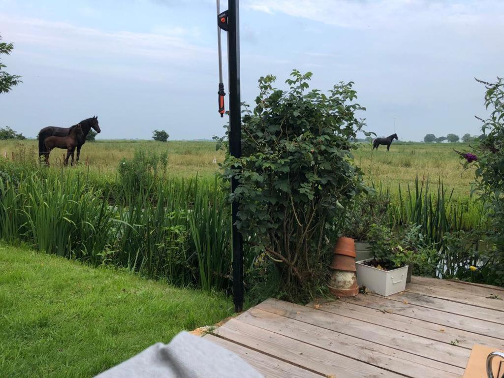 Vakantiehuis In Friesland Voor De Hele Familie Huns Экстерьер фото