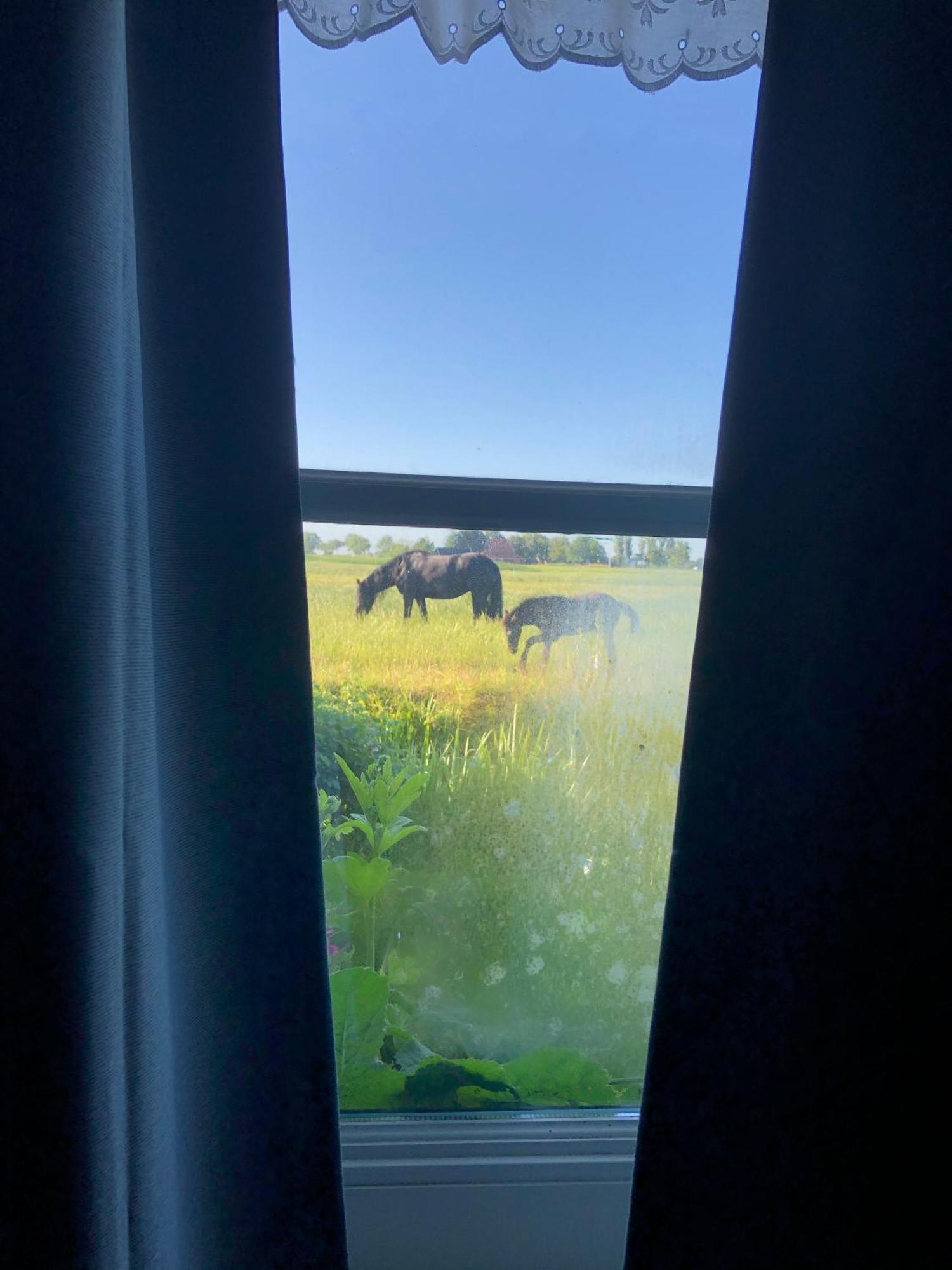 Vakantiehuis In Friesland Voor De Hele Familie Huns Экстерьер фото